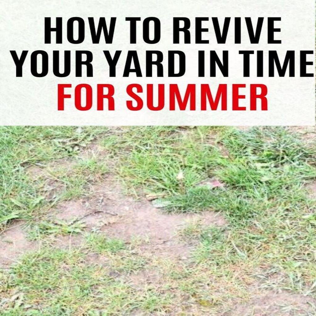 cultivate-a-lush-level-lawn-for-effortless-maintenance