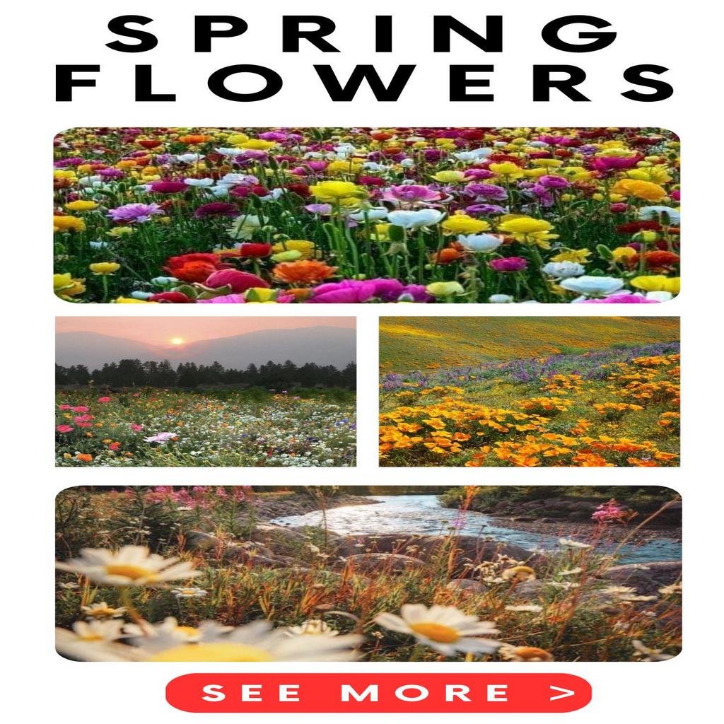 gwen-stefani-celebrates-spring-with-vibrant-home-grown-flowers