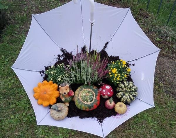 Bet on unique objects! An umbrella can become a bed for smaller plants like cacti and succulents, for example.