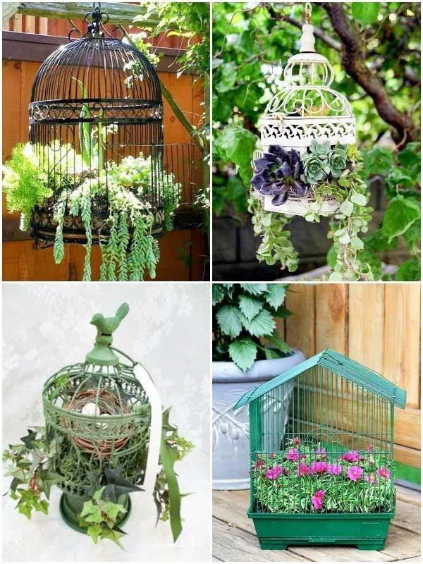 How about using a birdcage as a hanging pot? Bet on small plants, so the foliage can pass through the bars without being damaged.