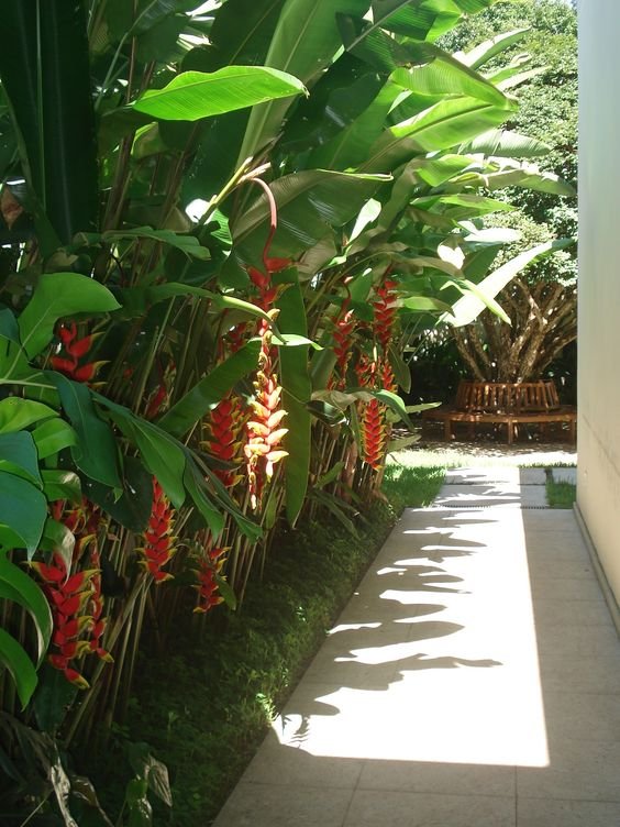 5. Outra opção para o jardim é fazer com que ele forme um belo corredor na parte lateral da casa, conforme foi feito com a helicônia rostrata na inspiração abaixo.
