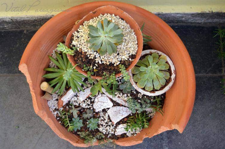 44026-jardim-pequeno-henrique-vital-viva-decora