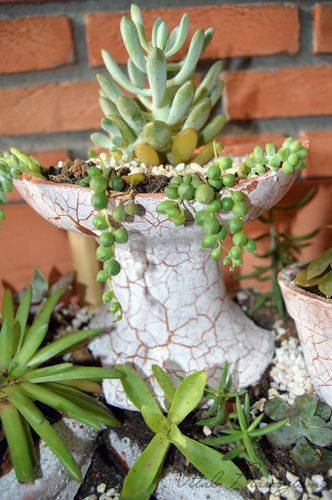 44027-jardim-pequeno-henrique-vital-viva-decora