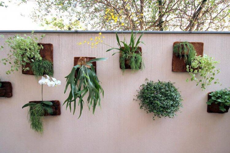 84807-jardim-pequeno-meyercortez-arquitetura-design-viva-decora
