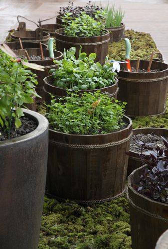 Vasos de madeira com plantas em um jardim pequeno.