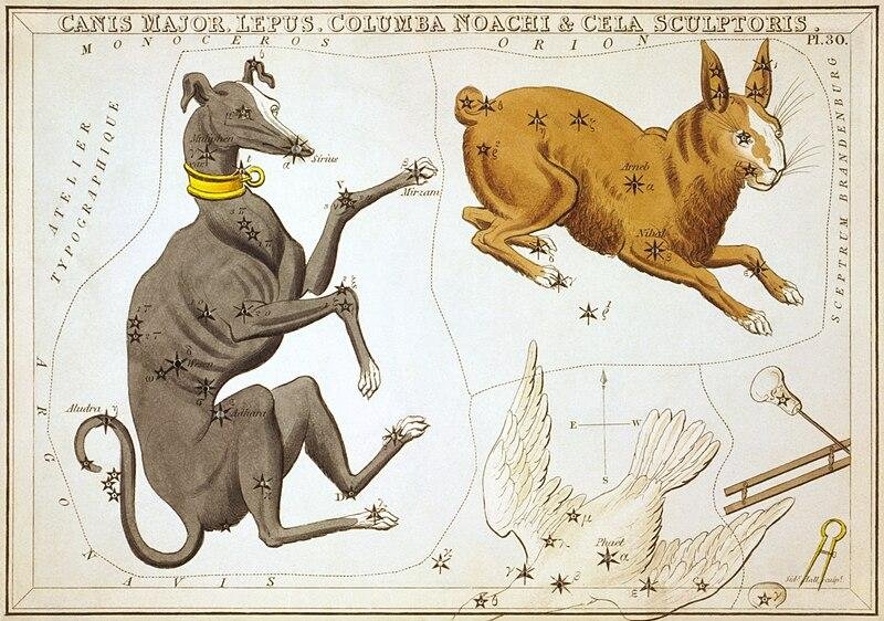 How-Did-The-Canis-Major-Constellation-Get-Its-Name02.jpg