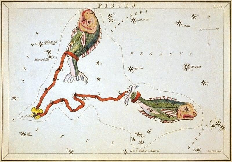 Pisces-Constellation-Name02.jpg