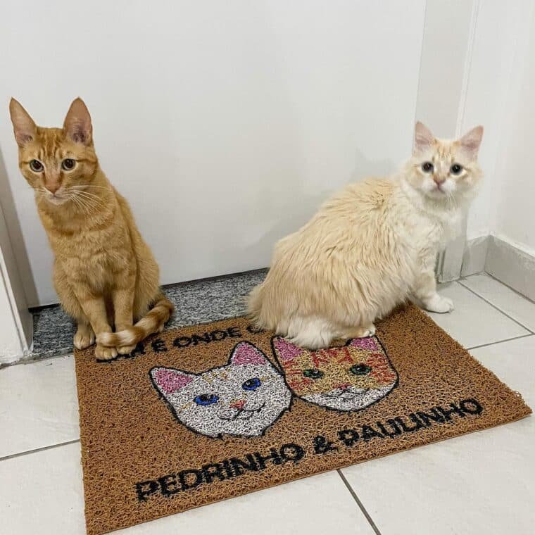 capachos-personalizados17-760×760