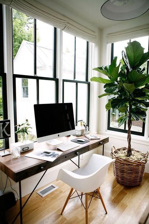 A simple ornamental plant can make a big difference in the décor of a small office. This one mixes modern and retro styles, combining white, black, and brown colors.