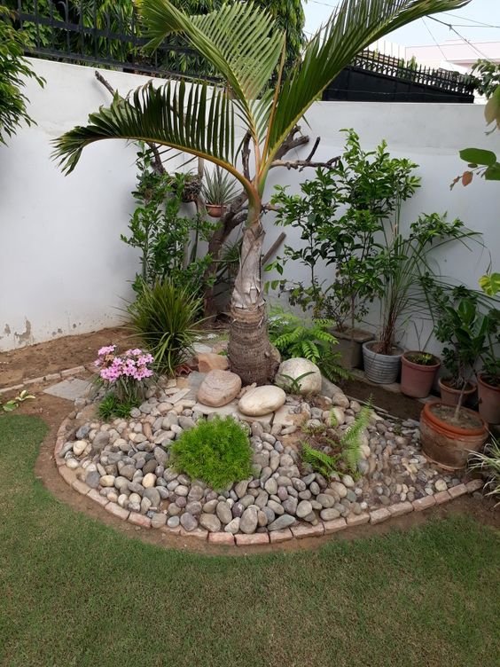jardim-com-pedras13