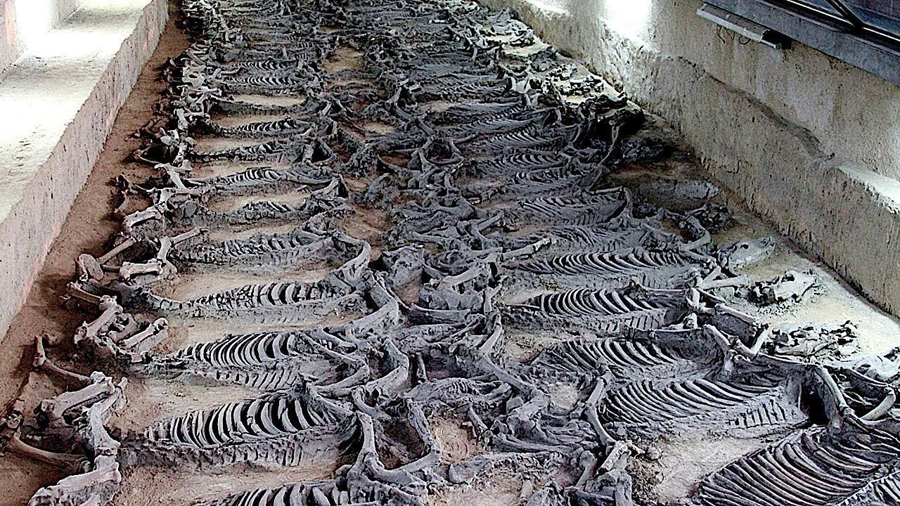 the-10-most-incredible-archaeological-discoveries