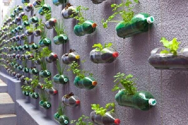 How to plant lettuce in a PET bottle is an easy and cheap activity, make a vertical garden of vegetables and decorate your outdoor area. Source: Mundo das Tribos