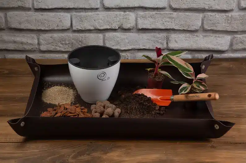 Vaso Autoirrigável: vasos da Plantiê têm furos e barbantes que irrigam a terra autonomamente por até 25 dias – Foto: Plantiê Vasos Autoirrigáveis