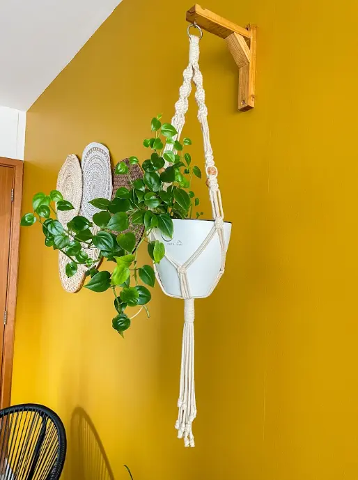 Vaso Autoirrigável: prático, charmoso e versátil para dar vida e cor a qualquer canto – Foto: Plantiê Vasos Autoirrigáveis