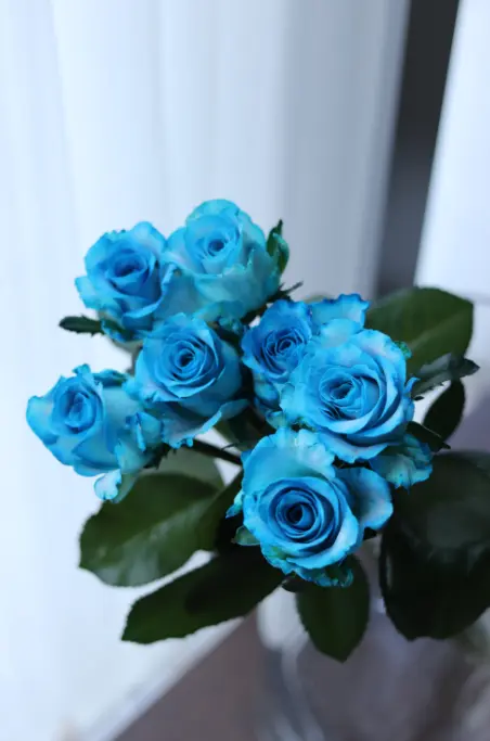 A rosa azul simboliza confiança, fidelidade, afeto, discrição, mistério, a busca pelo inatingível e amor.