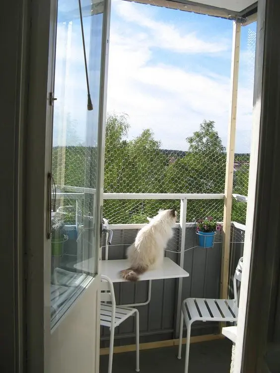 Redes de proteção – gato em sacada com rede de proteção